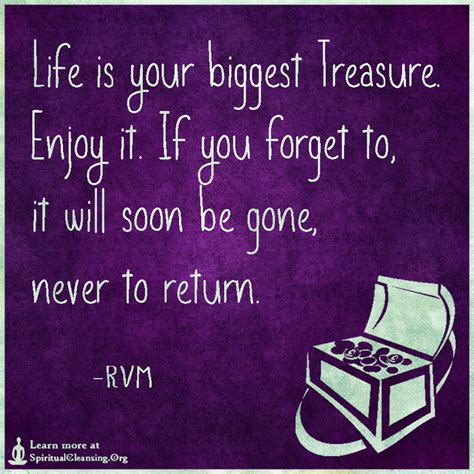 Life Is Your Biggest Treasure Enjoy It If You Forget To