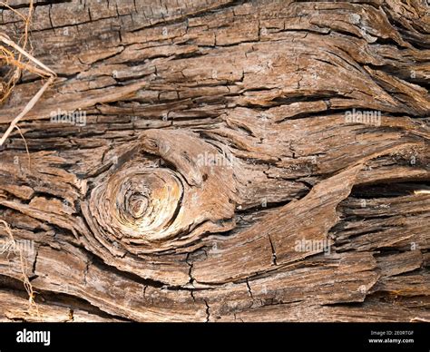 Close Up Old Wood Grain Texture Wooden Texture Background Brown Wood