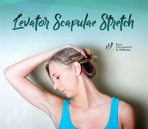 Levator Scapulae Stretch 💪 In A Sitting Position Slowly And With Ease