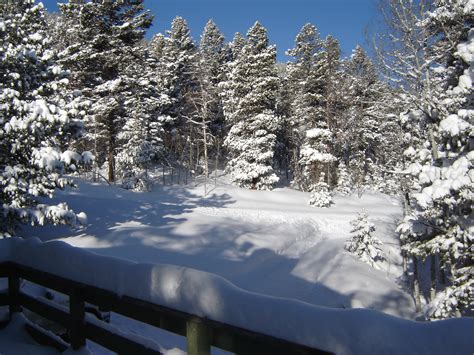 Probably ought to check road conditions on the web before you head down if you plan to try to get outside of nashville on something other than a. How much snow do you have so far today?? - Denver ...