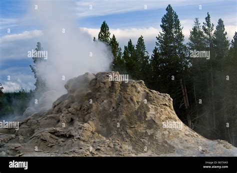 Geothermal Steam Rising From Castle Geyser Vent Upper Geyser Basin Yellowstone National Park