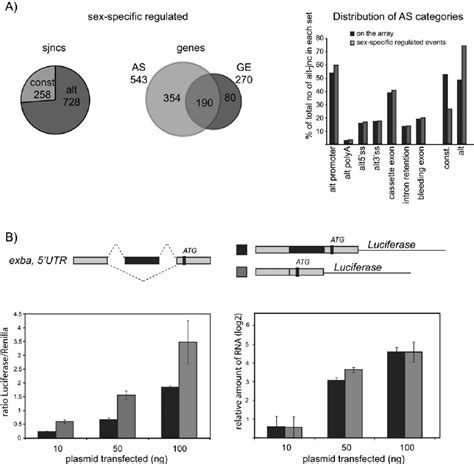 extensive sex specific alternative splicing in drosophila melanogaster download scientific