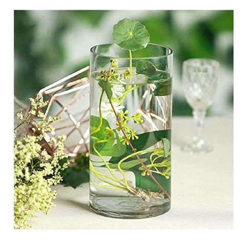 6 Inch Floral Wide Cylinder Glass Vase At Rs 49 Piece ग्लास पॉट In Firozabad Id 24340482597