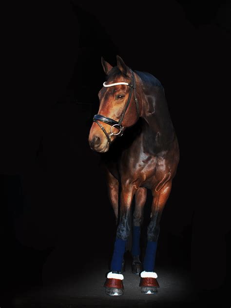 We shake up the industry as a leading example of innovative practices within the world of fashion. Dressage to Excellence