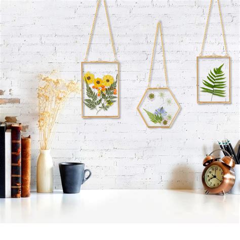 3 Packs Pressed Flowers Glass Frames Golden Hanging Glass Picture