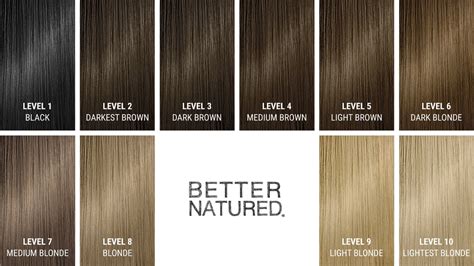 Top 100 Image Hair Color Level Chart Vn