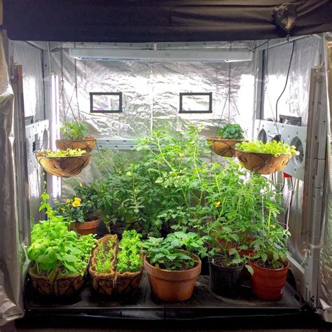 Grow Your Own Food Indoors The Nature Life Project