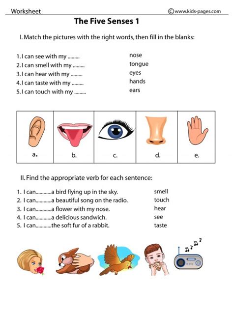 five sense worksheet new 780 five senses worksheets preschool