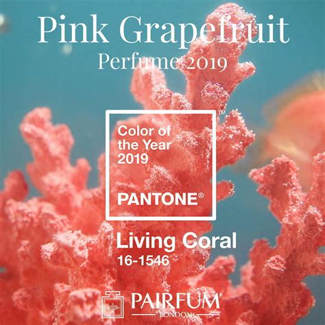 The Perfume Of “living Coral” Pantone Colour Of The Year 2019