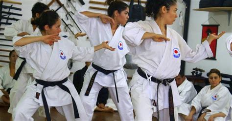 Seibukan Okinawa Goju Ryu Karate Do MÉxico