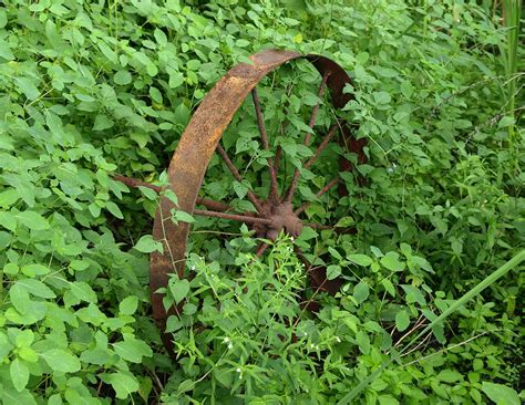 Rusty Wheel In Weeds Knightscapes Submissions Flickr