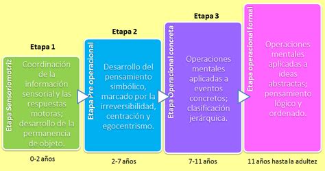 Los Cuatro Estadios Del Desarrollo Cognitivo ~ Psicología Del Aprendizaje