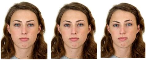 Symmetry Free Full Text Preference For Facial Symmetry Depends On