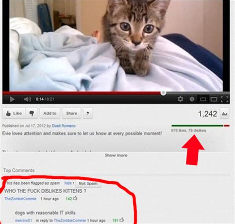 The 25 Funniest Youtube Comments Of The Year Buzzfeed News