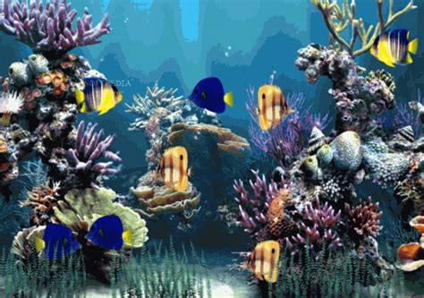 Download Aquarium Animated Wallpaper Moving Fish Tank Background 