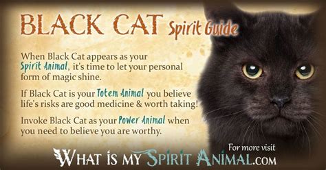 Black Cat Symbolism And Meaning Black Cat Spirit Totem And Power Animal