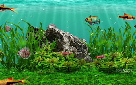 Скачать 3d Fish School Screensaver бесплатно для Windows