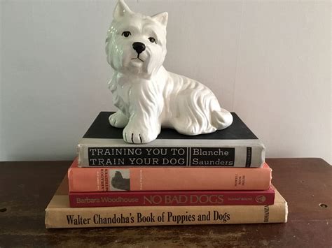 Vintage Dog Books Instant Canine Collection Set Of Four Etsy Dog