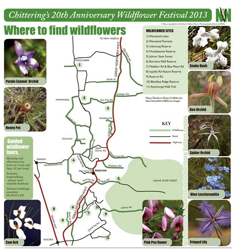 Chitterings 20th Anniversary Wildflower Festival Northern Valleys News