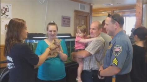 Cat Rescued From Trucks Engine Compartment After 28 Mile Journey To New Jersey Adopted By