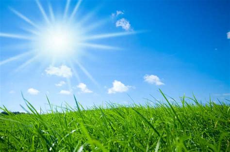 Free Sunshine Download Free Sunshine Png Images Free Cliparts On