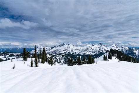 Snow At Mount Rainier National Park In Winter Stock Photo