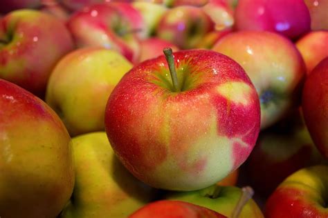 Äpfel gesunder Saisontipp Nov Woche Lagom by Carlsson