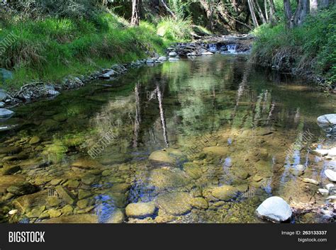 Crystal Clear Stream Image And Photo Free Trial Bigstock