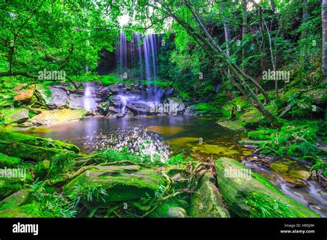 Beautiful Tropical Rainforest Waterfall In Deep Forest Phu Kradueng