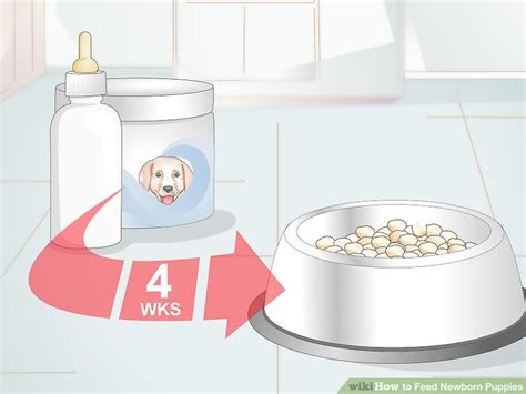 How To Feed Newborn Puppies 11 Steps With Pictures Wikihow