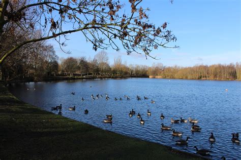 Needham Lake And Nature Reserve Visit East Of England