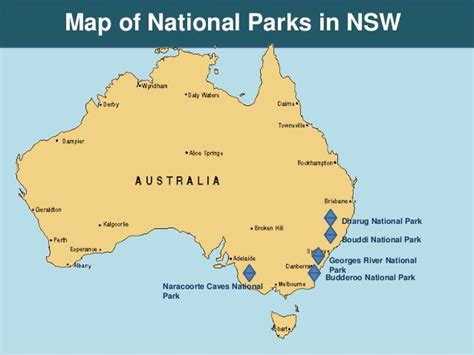 Explore Most Popular Wildlife Destinations In Nsw And Sa Chifley Woll