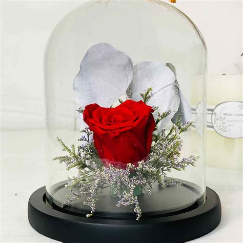 Online Beautiful Red Forever Rose In Glass Dome T Delivery In