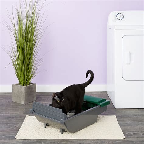 Searching for a self cleaning litter box was on my agenda for a long time but i was hesitant. Pet Zone Smart Scoop Automatic Cat Litter Box - Chewy.com