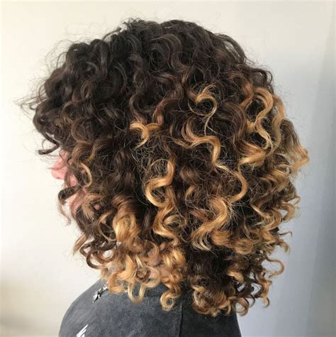 Brown Curly Hairstyle With Blonde Highlights Cute Short Curly