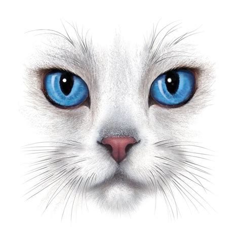 Dibujar El Retrato De Un Caracal Gato Grande Salvaje Sobre Gris