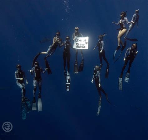 Learning Shark Communication With Ocean Ramsey