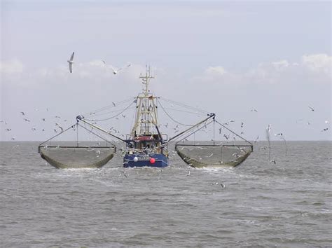UK And EU Reach Agreement On Fishing Opportunities For Cater And Merger Consult