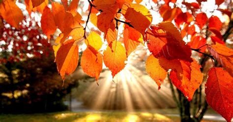 Top Spots For Leaf Peeping In The Saratoga Springs Ny Region