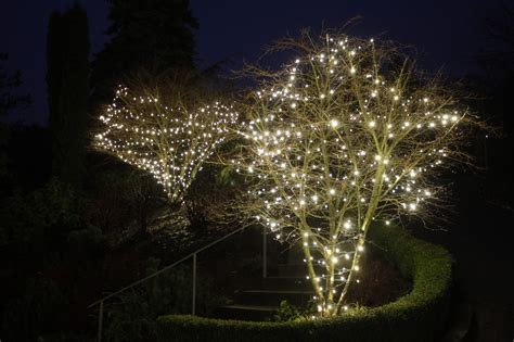 How to Install Christmas Lights on a Tree - Light Knights
