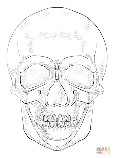 Human Skull Coloring Page Free Printable Coloring Pages