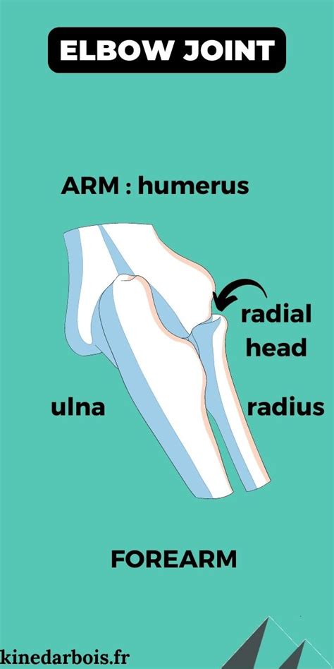 Radial Head Fracture Recovery Time What You Need To Know