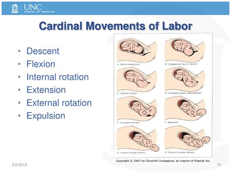 Ppt Labor And Delivery Physiology Normal Abnormal And Preterm