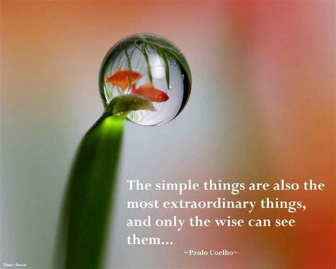 Wisdom Quotes ~ Simple Things In Life Inspirational
