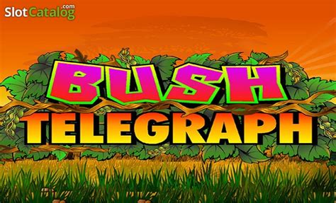 Bush Telegraph Slot Free Demo Game Review Mar 2024