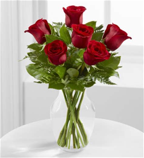 No florist to be found. Contact flowers delivery | florist St. Petersburg Florida ...