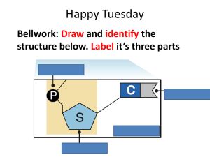 In dna, adenine and thymine the complementary means that if you know the sequence of bases in one strand, you'll know the. 12-1 Practice 12-1 Write the complementary strand of DNA to the