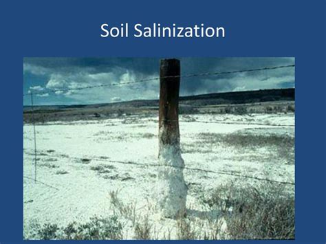 Ppt Chapter 12 Soil And Agriculture Powerpoint Presentation Free