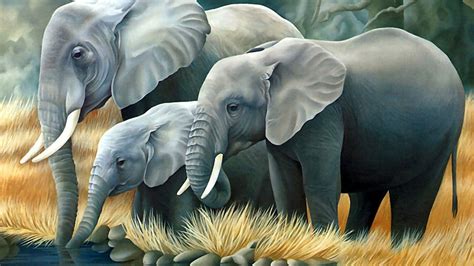 Elephant Laptop Wallpapers Top Free Elephant Laptop Backgrounds