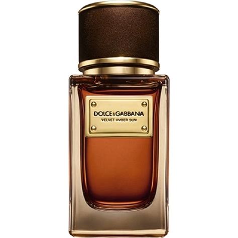 Velvet Amber Sun By Dolce And Gabbana Reviews And Perfume Facts